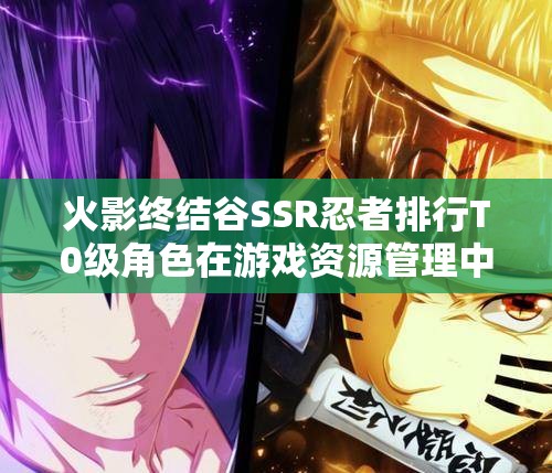 火影终结谷SSR忍者排行T0级角色在游戏资源管理中的核心地位与策略解析