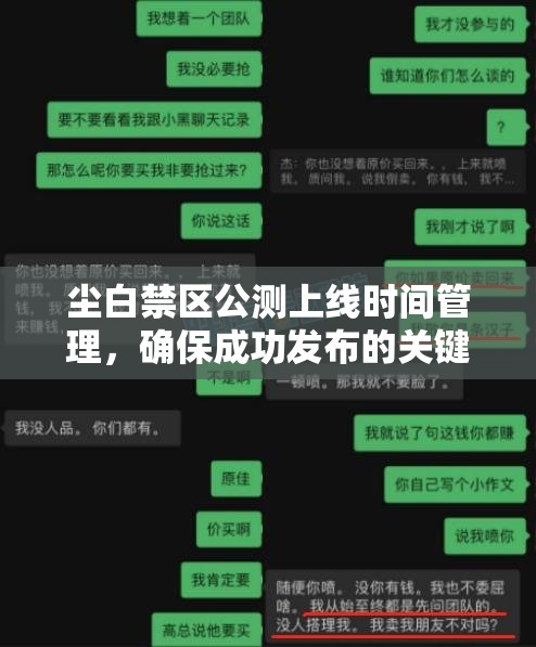 尘白禁区公测上线时间管理，确保成功发布的关键策略与重要性分析