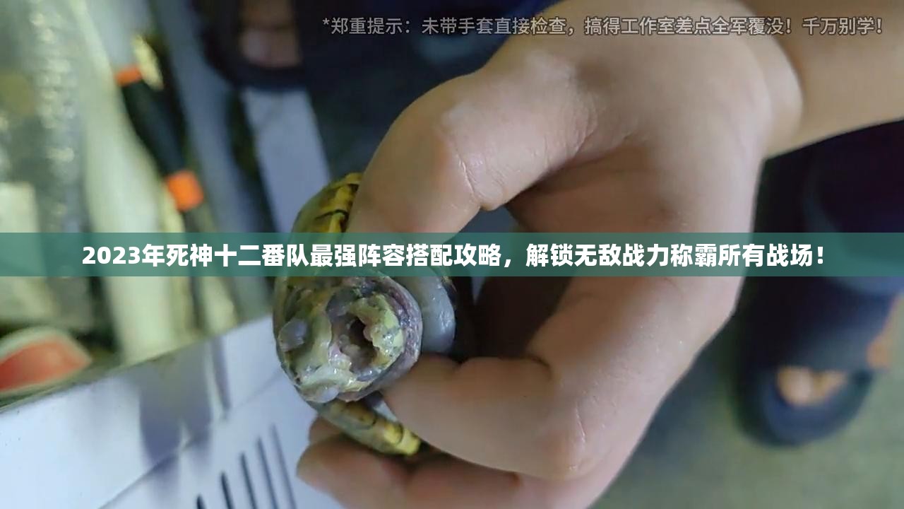 2023年死神十二番队最强阵容搭配攻略，解锁无敌战力称霸所有战场！