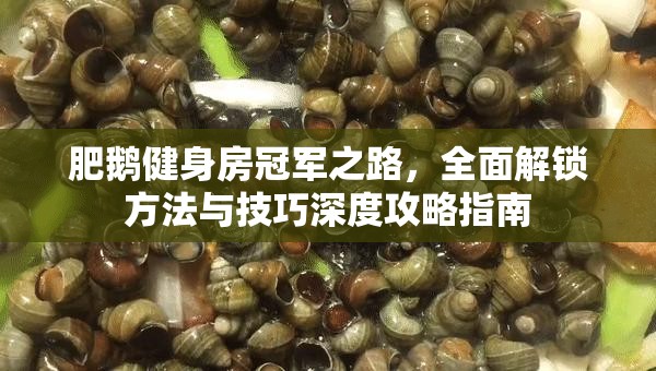 肥鹅健身房冠军之路，全面解锁方法与技巧深度攻略指南