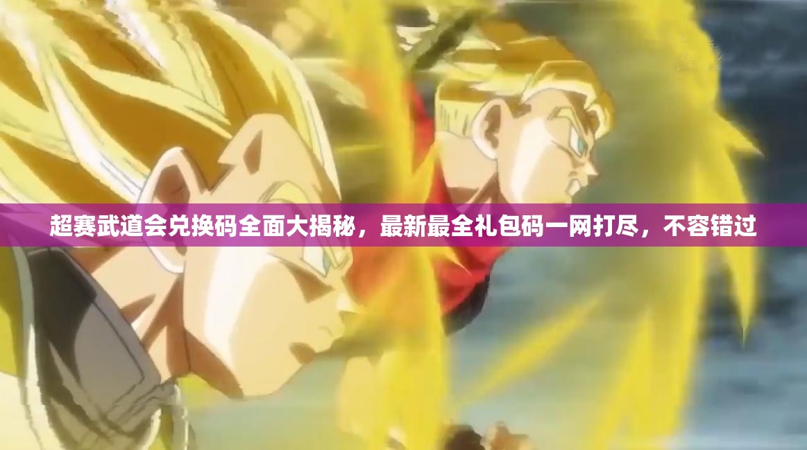 超赛武道会兑换码全面大揭秘，最新最全礼包码一网打尽，不容错过