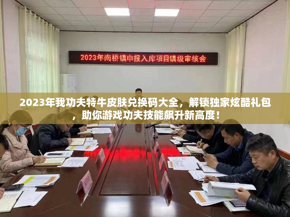 2023年我功夫特牛皮肤兑换码大全，解锁独家炫酷礼包，助你游戏功夫技能飙升新高度！