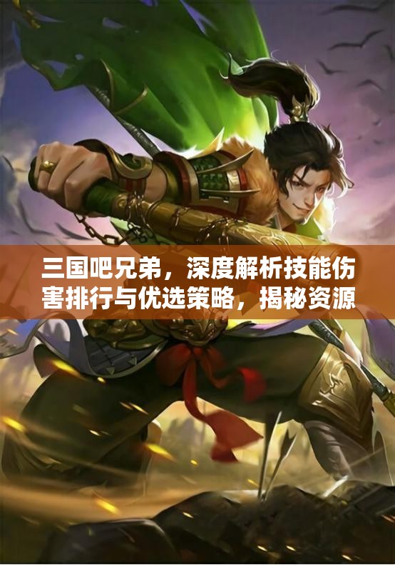 三国吧兄弟，深度解析技能伤害排行与优选策略，揭秘资源管理的高效艺术