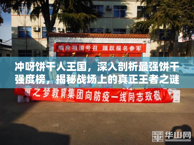 冲呀饼干人王国，深入剖析最强饼干强度榜，揭秘战场上的真正王者之谜