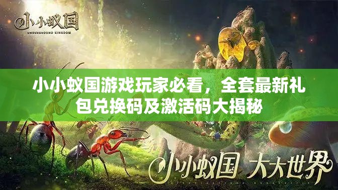 小小蚁国游戏玩家必看，全套最新礼包兑换码及激活码大揭秘