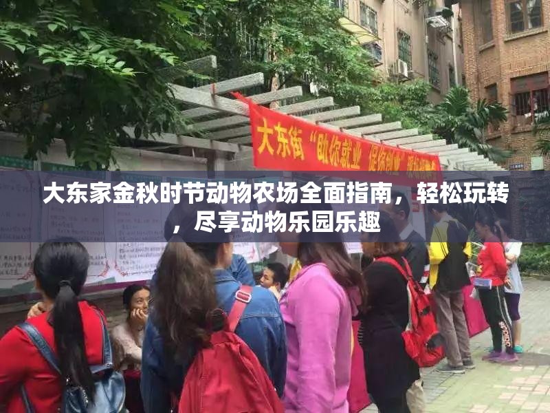 大东家金秋时节动物农场全面指南，轻松玩转，尽享动物乐园乐趣