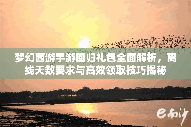 梦幻西游手游回归礼包全面解析，离线天数要求与高效领取技巧揭秘