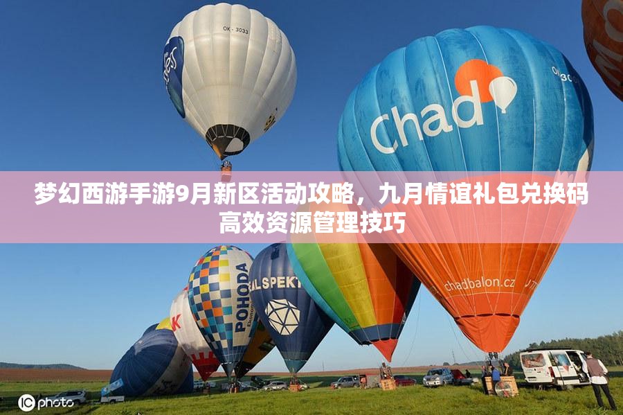 梦幻西游手游9月新区活动攻略，九月情谊礼包兑换码高效资源管理技巧