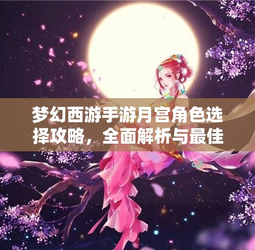 梦幻西游手游月宫角色选择攻略，全面解析与最佳角色推荐大揭秘