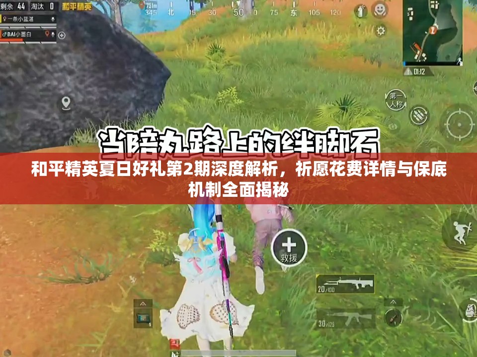和平精英夏日好礼第2期深度解析，祈愿花费详情与保底机制全面揭秘