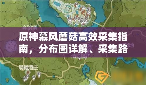 原神慕风蘑菇高效采集指南，分布图详解、采集路线规划及商人位置一网打尽