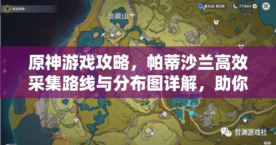 原神游戏攻略，帕蒂沙兰高效采集路线与分布图详解，助你优化资源管理策略