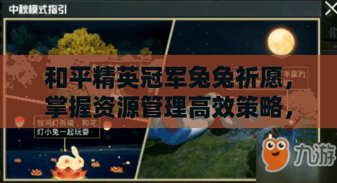 和平精英冠军兔兔祈愿，掌握资源管理高效策略，实现游戏价值最大化
