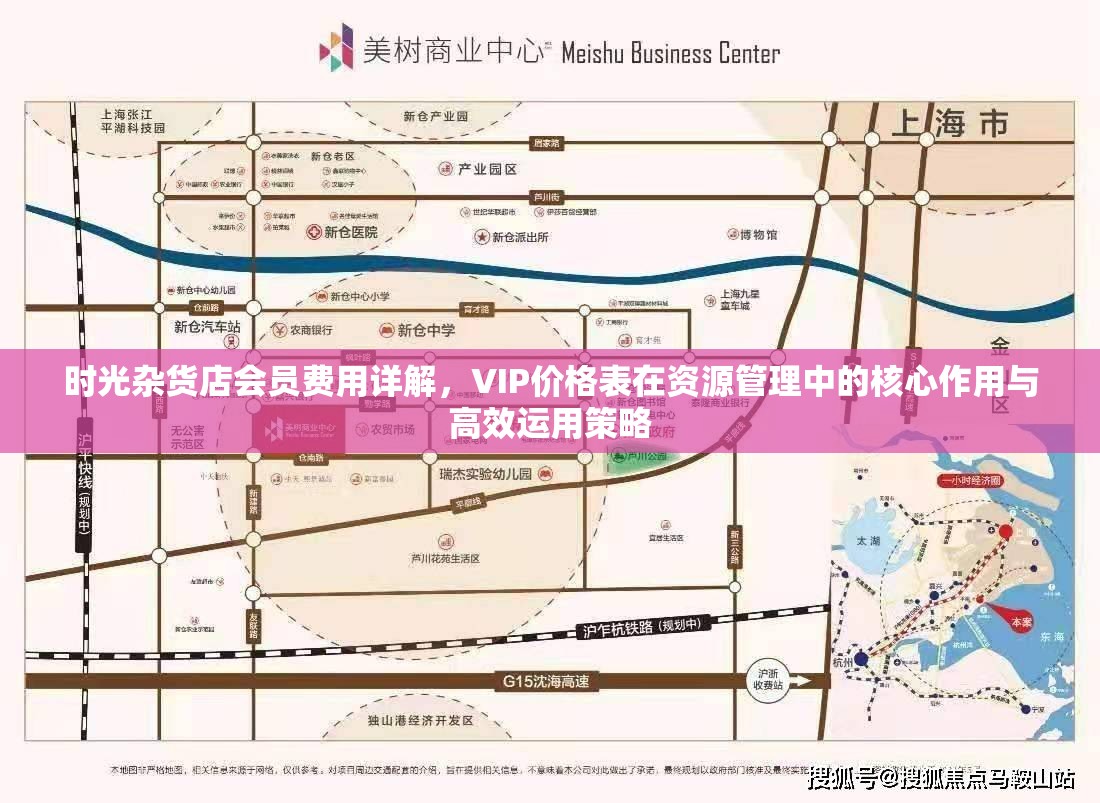 时光杂货店会员费用详解，VIP价格表在资源管理中的核心作用与高效运用策略