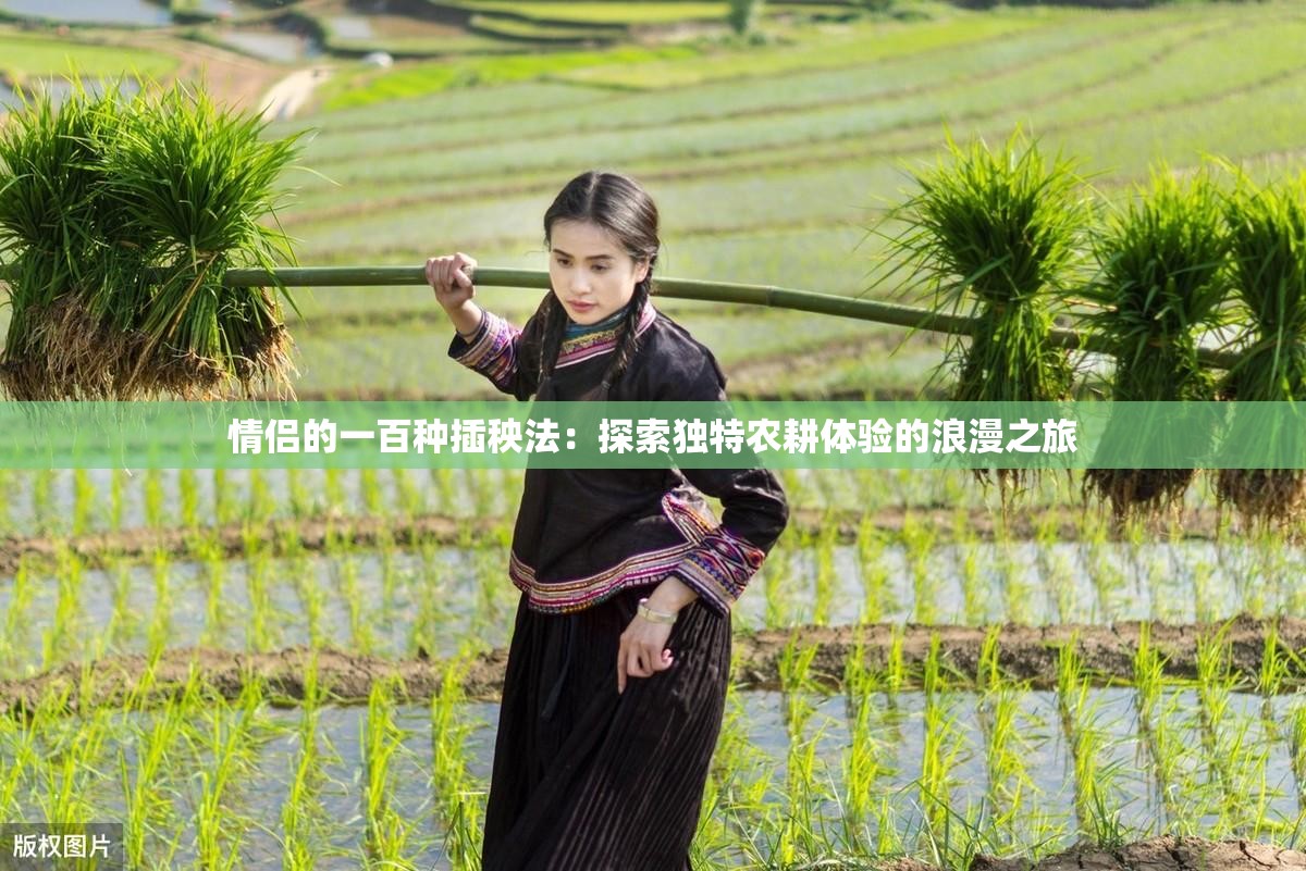 情侣的一百种插秧法：探索独特农耕体验的浪漫之旅