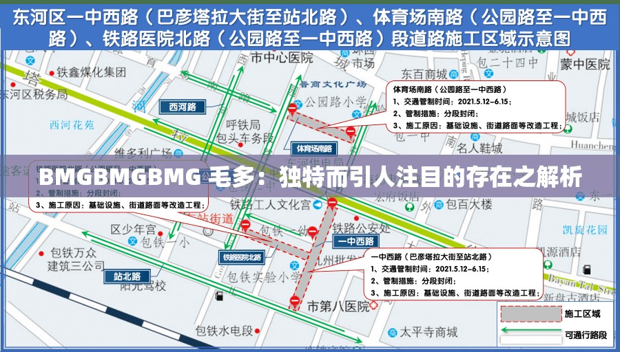 BMGBMGBMG 毛多：独特而引人注目的存在之解析