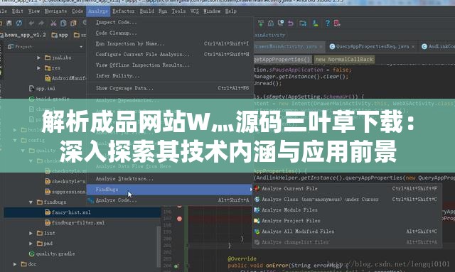 解析成品网站W灬源码三叶草下载：深入探索其技术内涵与应用前景