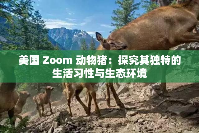 美国 Zoom 动物猪：探究其独特的生活习性与生态环境