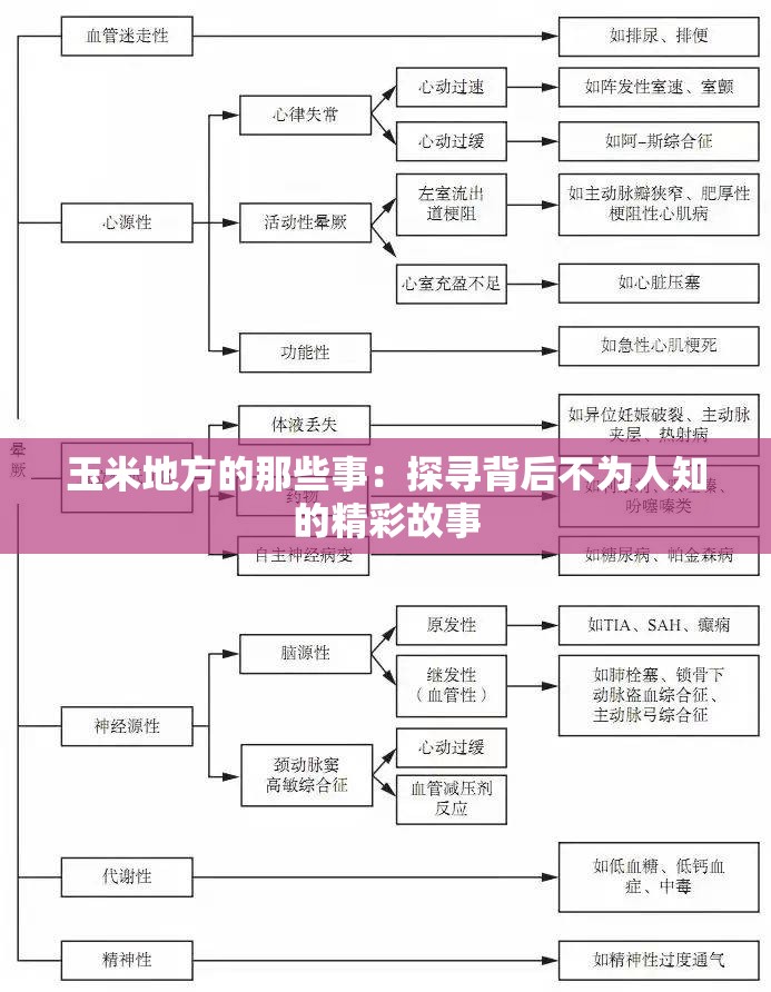 玉米地方的那些事：探寻背后不为人知的精彩故事