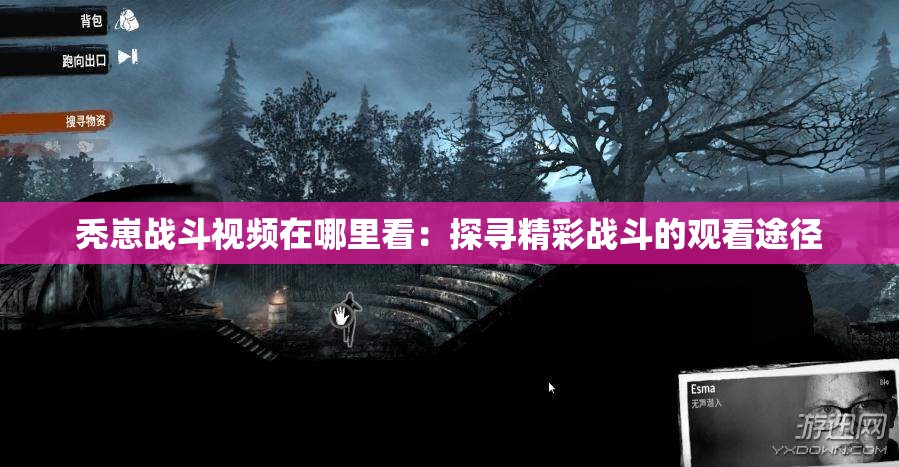 秃崽战斗视频在哪里看：探寻精彩战斗的观看途径