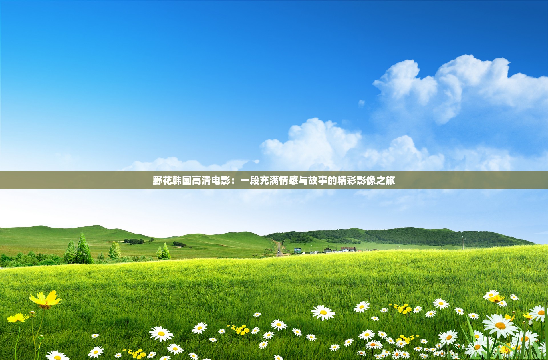 野花韩国高清电影：一段充满情感与故事的精彩影像之旅