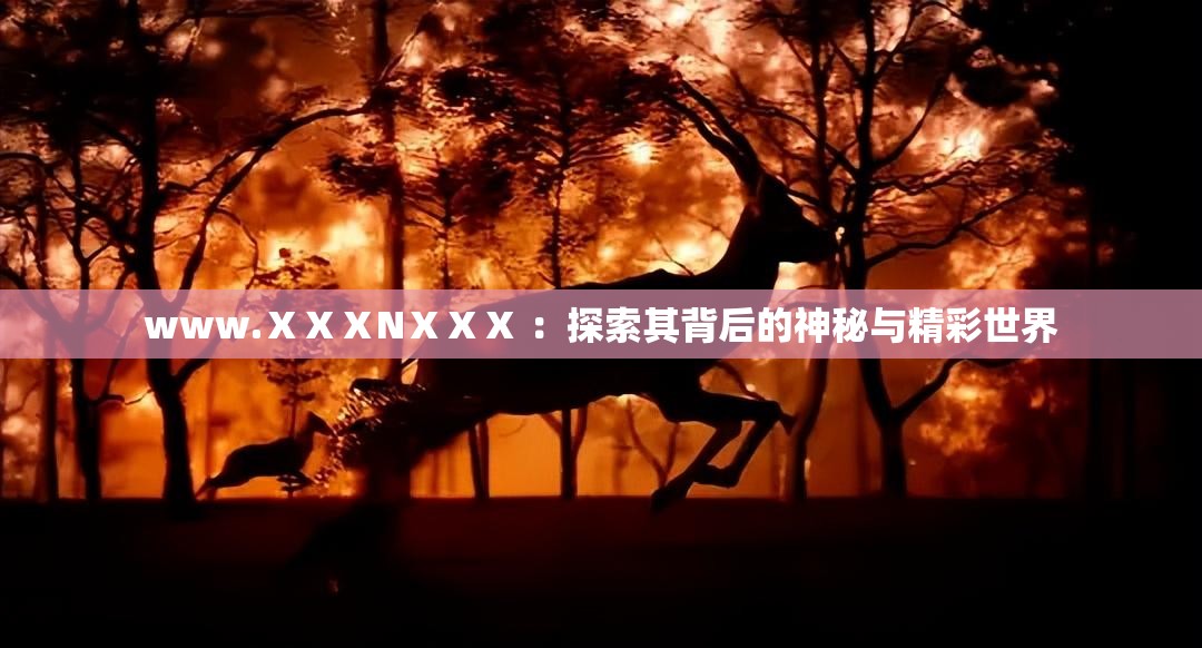www.ⅩⅩⅩNⅩⅩⅩ ：探索其背后的神秘与精彩世界