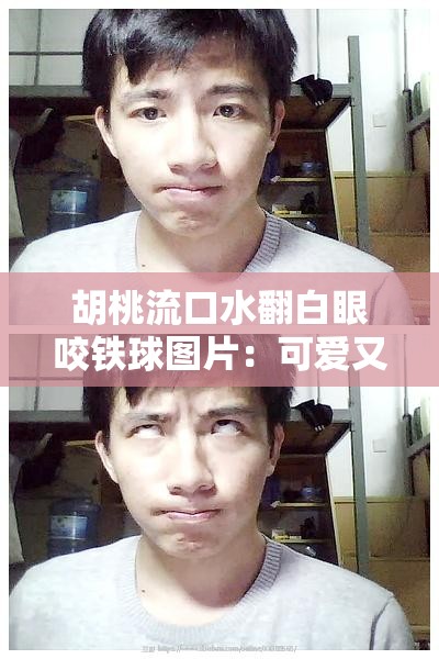 胡桃流口水翻白眼咬铁球图片：可爱又搞怪的独特瞬间