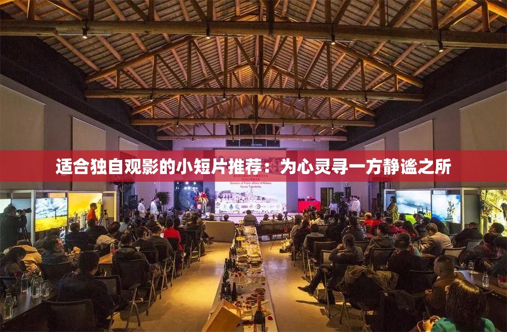 适合独自观影的小短片推荐：为心灵寻一方静谧之所