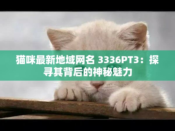 猫咪最新地域网名 3336PT3：探寻其背后的神秘魅力