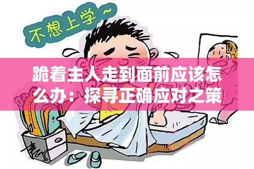 跪着主人走到面前应该怎么办：探寻正确应对之策与原则