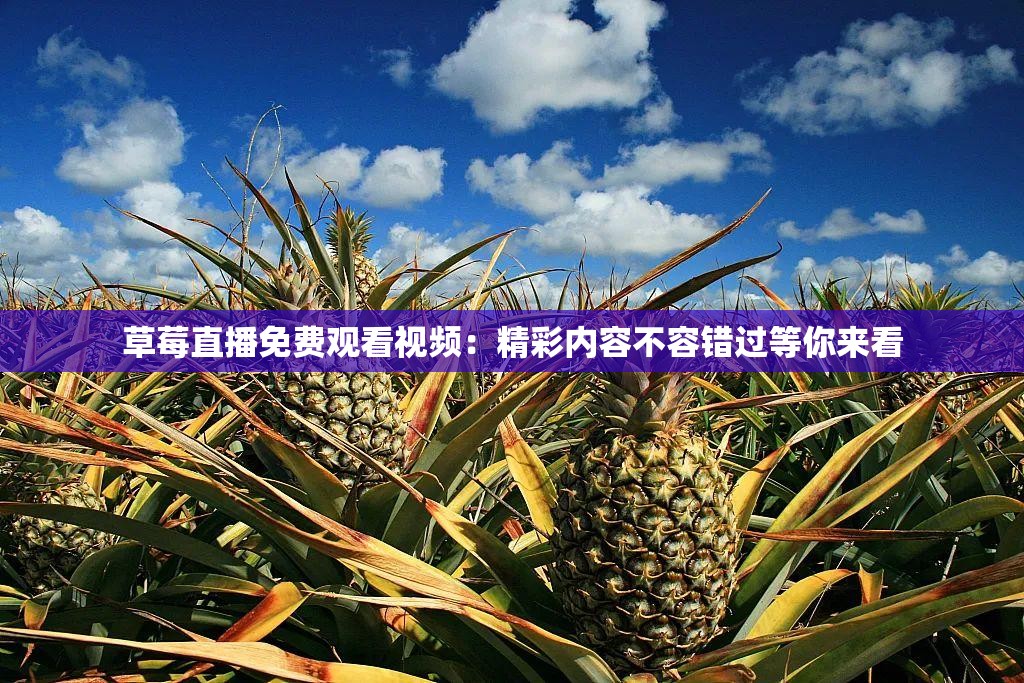 草莓直播免费观看视频：精彩内容不容错过等你来看