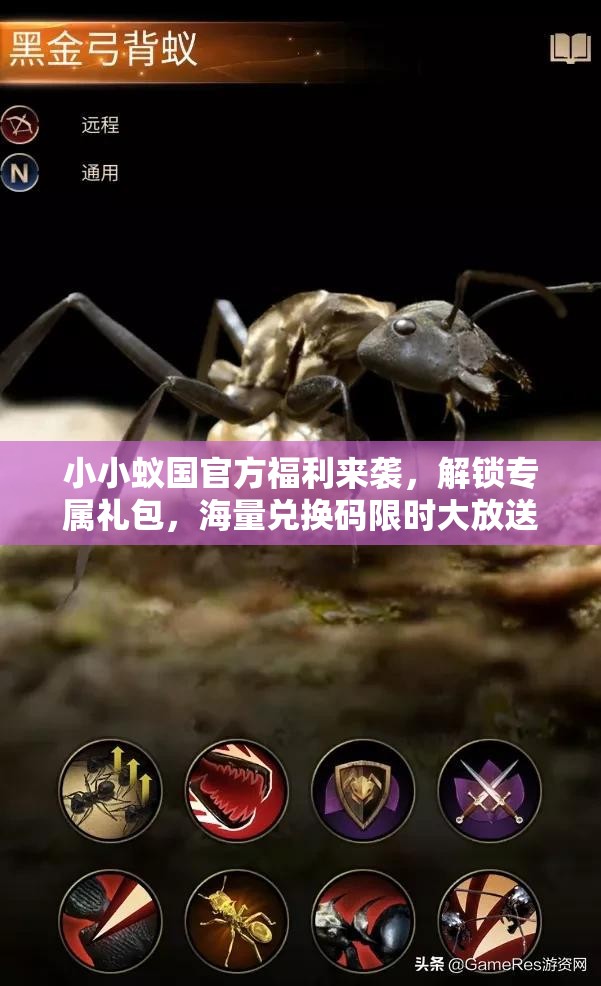 小小蚁国官方福利来袭，解锁专属礼包，海量兑换码限时大放送！