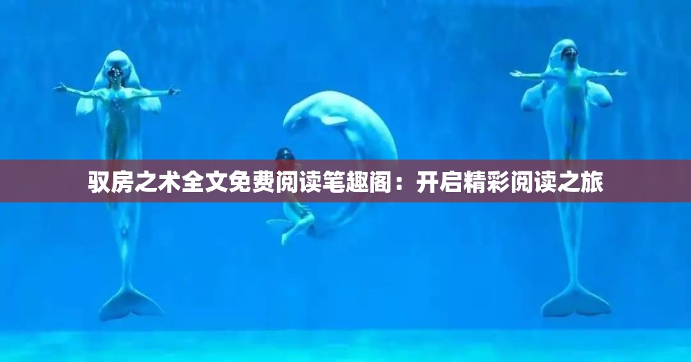 驭房之术全文免费阅读笔趣阁：开启精彩阅读之旅