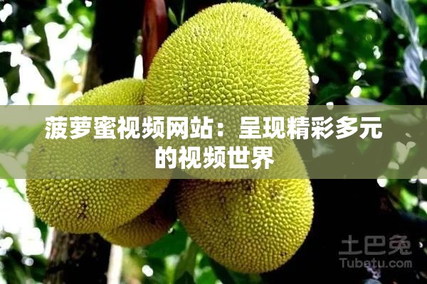 菠萝蜜视频网站：呈现精彩多元的视频世界