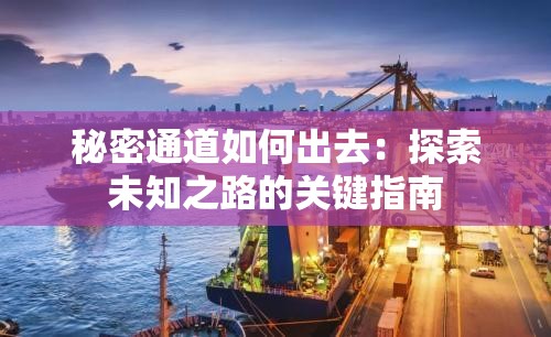 秘密通道如何出去：探索未知之路的关键指南