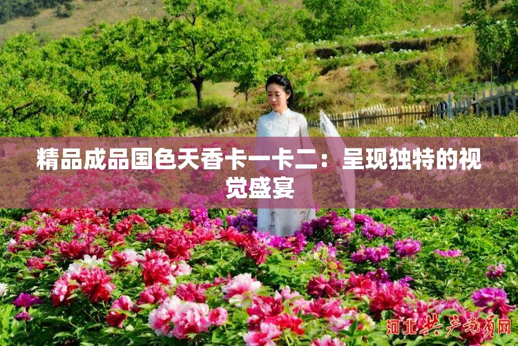 精品成品国色天香卡一卡二：呈现独特的视觉盛宴