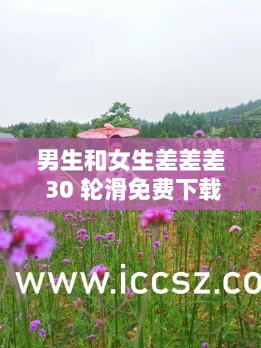 男生和女生差差差 30 轮滑免费下载：探寻轮滑背后的故事与乐趣