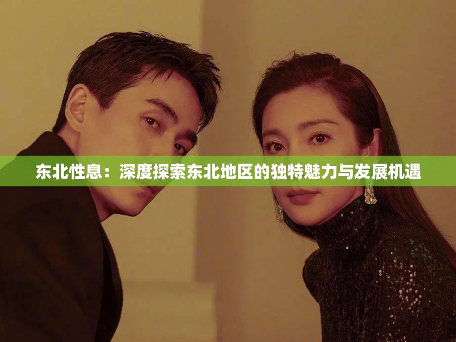 东北性息：深度探索东北地区的独特魅力与发展机遇