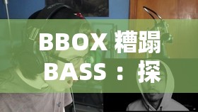 BBOX 糟蹋 BASS ：探寻其背后不为人知的原因与影响