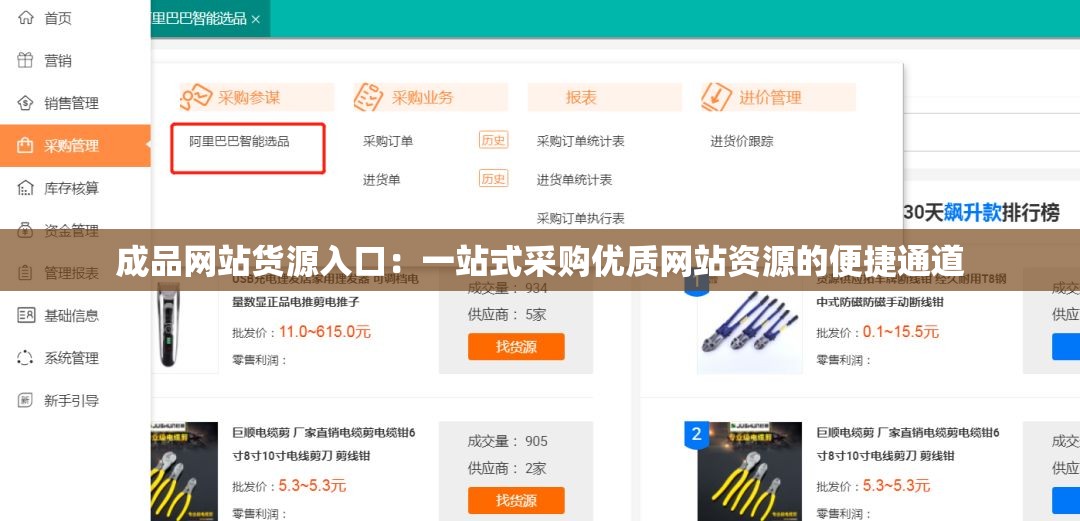 成品网站货源入口：一站式采购优质网站资源的便捷通道