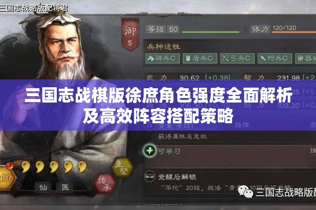 三国志战棋版徐庶角色强度全面解析及高效阵容搭配策略