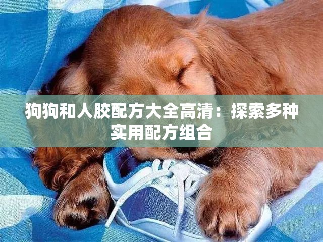 狗狗和人胶配方大全高清：探索多种实用配方组合