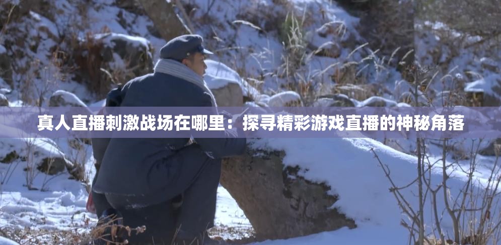 真人直播刺激战场在哪里：探寻精彩游戏直播的神秘角落