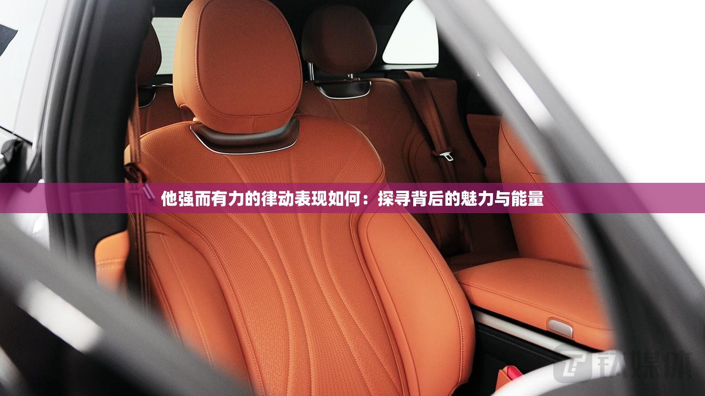 他强而有力的律动表现如何：探寻背后的魅力与能量