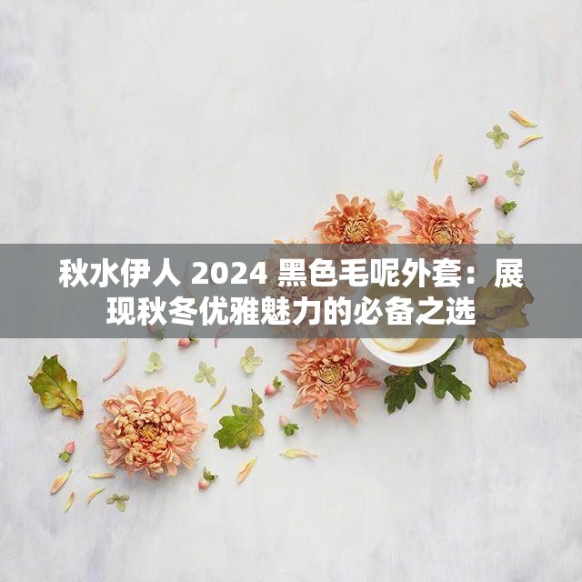 秋水伊人 2024 黑色毛呢外套：展现秋冬优雅魅力的必备之选
