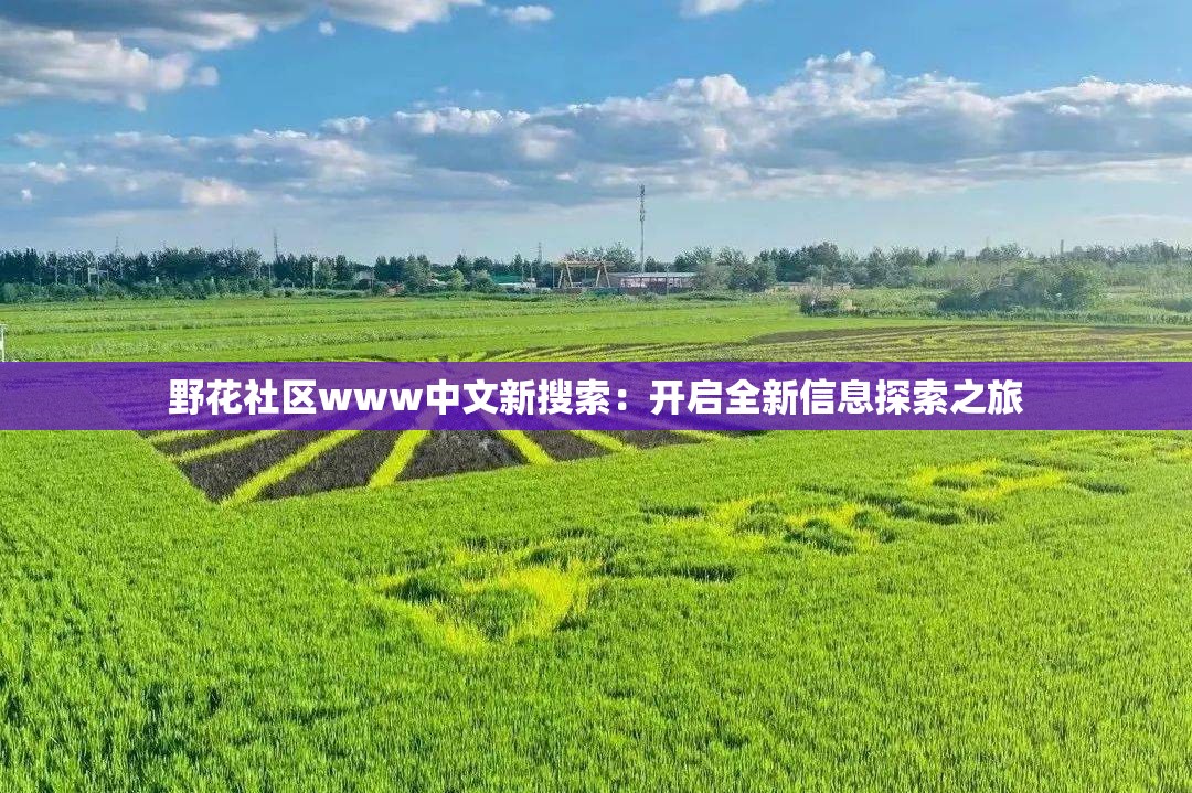 野花社区www中文新搜索：开启全新信息探索之旅