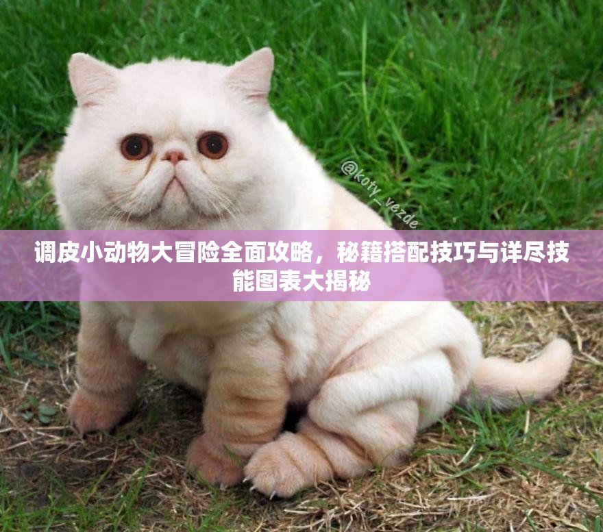 调皮小动物大冒险全面攻略，秘籍搭配技巧与详尽技能图表大揭秘