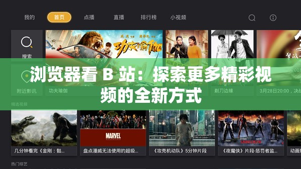 浏览器看 B 站：探索更多精彩视频的全新方式