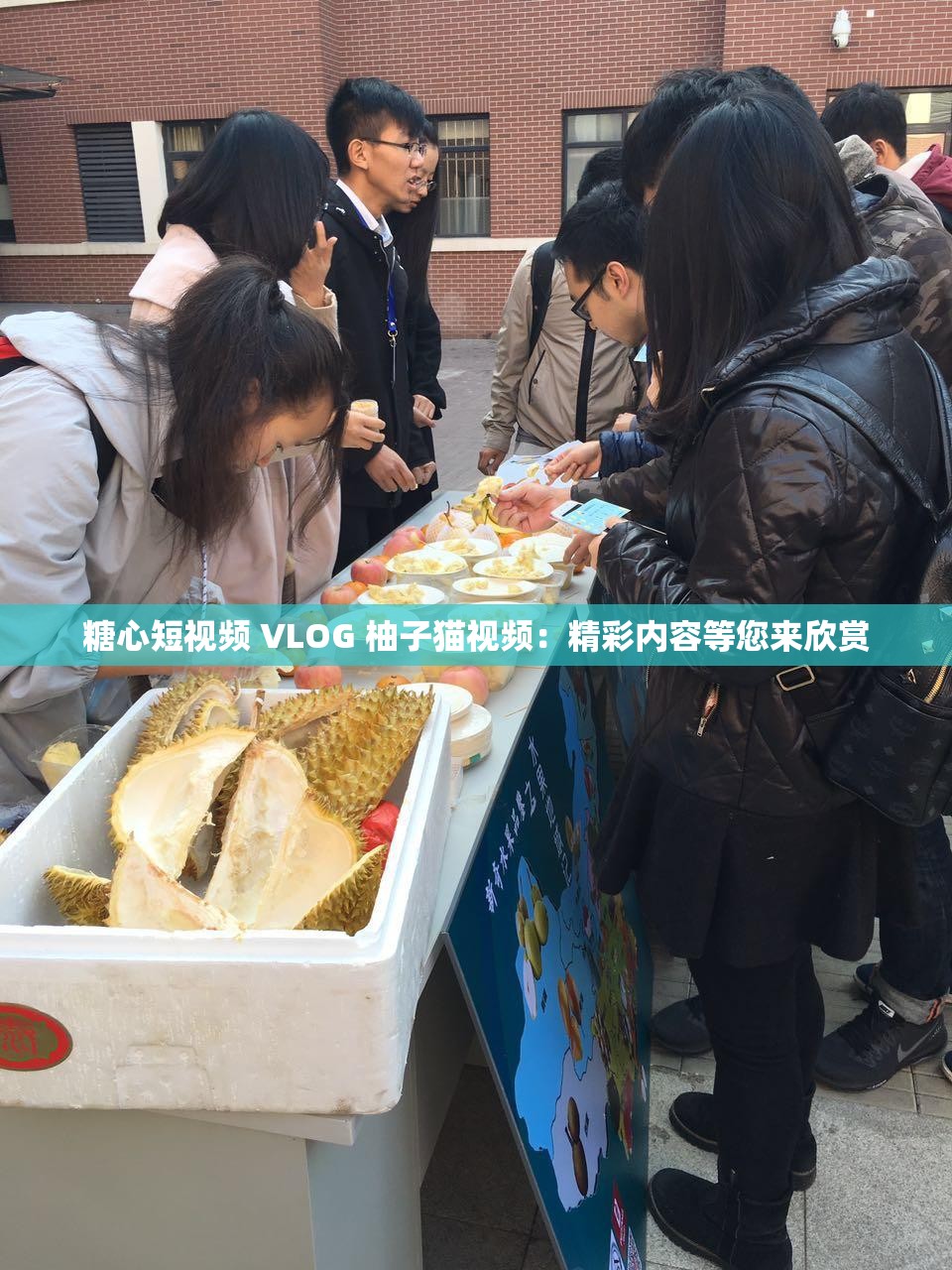 糖心短视频 VLOG 柚子猫视频：精彩内容等您来欣赏