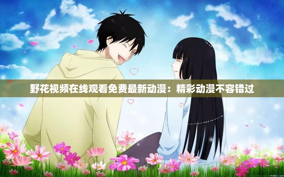 野花视频在线观看免费最新动漫：精彩动漫不容错过